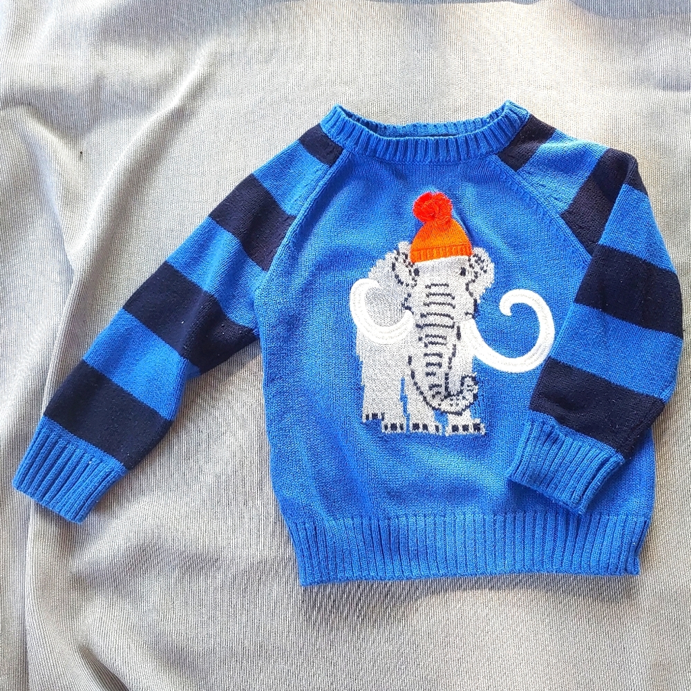 Gymboree Warm Blue Sweater